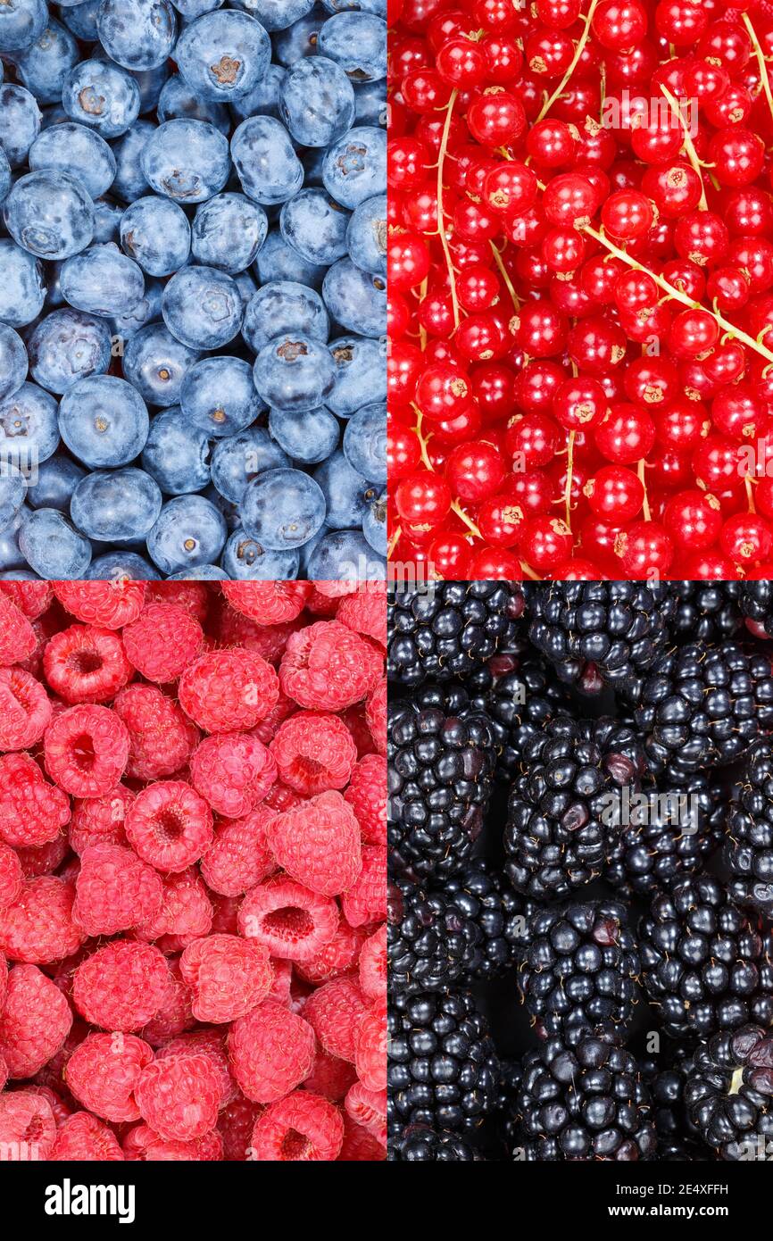 Beerenfrüchte Beeren Heidelbeeren Lebensmittel Hintergrund Portrait Format Kollektion Collage Legen Sie einen Hintergrund für Früchte fest Stockfoto