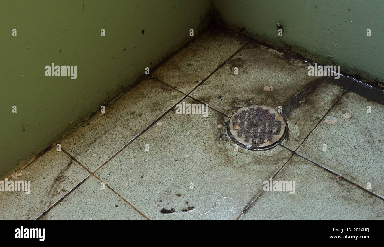 Verstopfter wasserablauf Fotos und Bildmaterial in hoher Auflösung Alamy