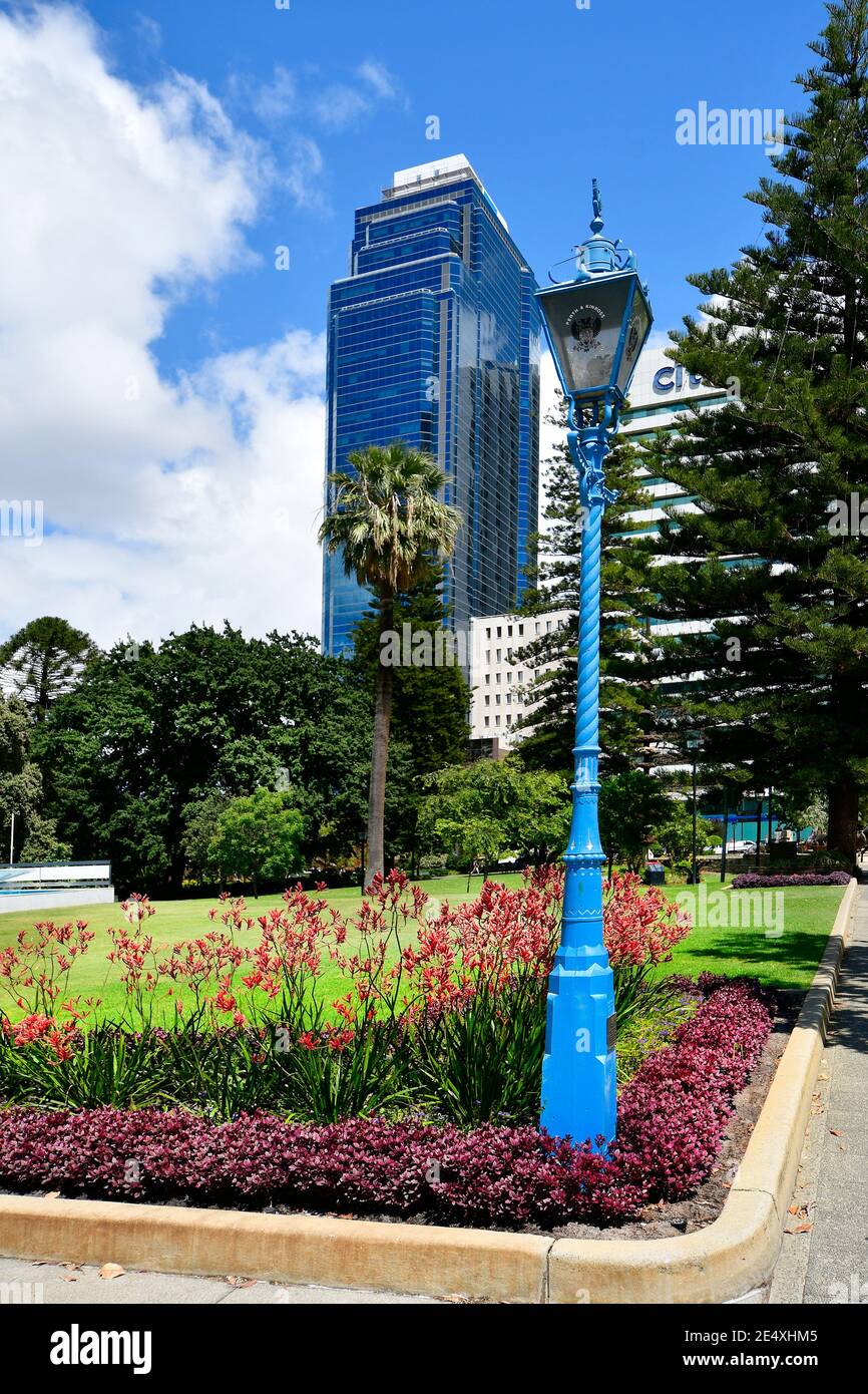 Perth, WA, Australien - 28. November 2017: Bunte Laterne und Blumenbeet mit Känguruspflanzen in öffentlichen Stirling Gardens Stockfoto
