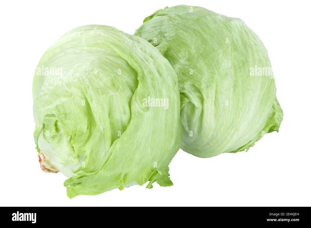 Eisbergsalat gesund essen Lebensmittel Gemüse isoliert auf einem weißen Hintergrund Stockfoto