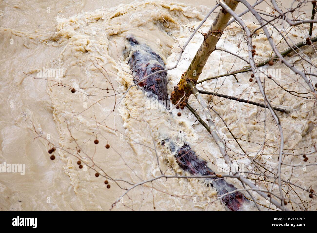 Tevere in piena 25/01/2021 Stockfoto