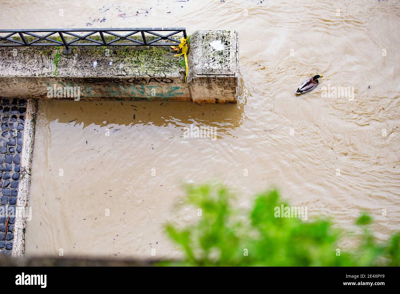 Tevere in piena 25/01/2021 Stockfoto