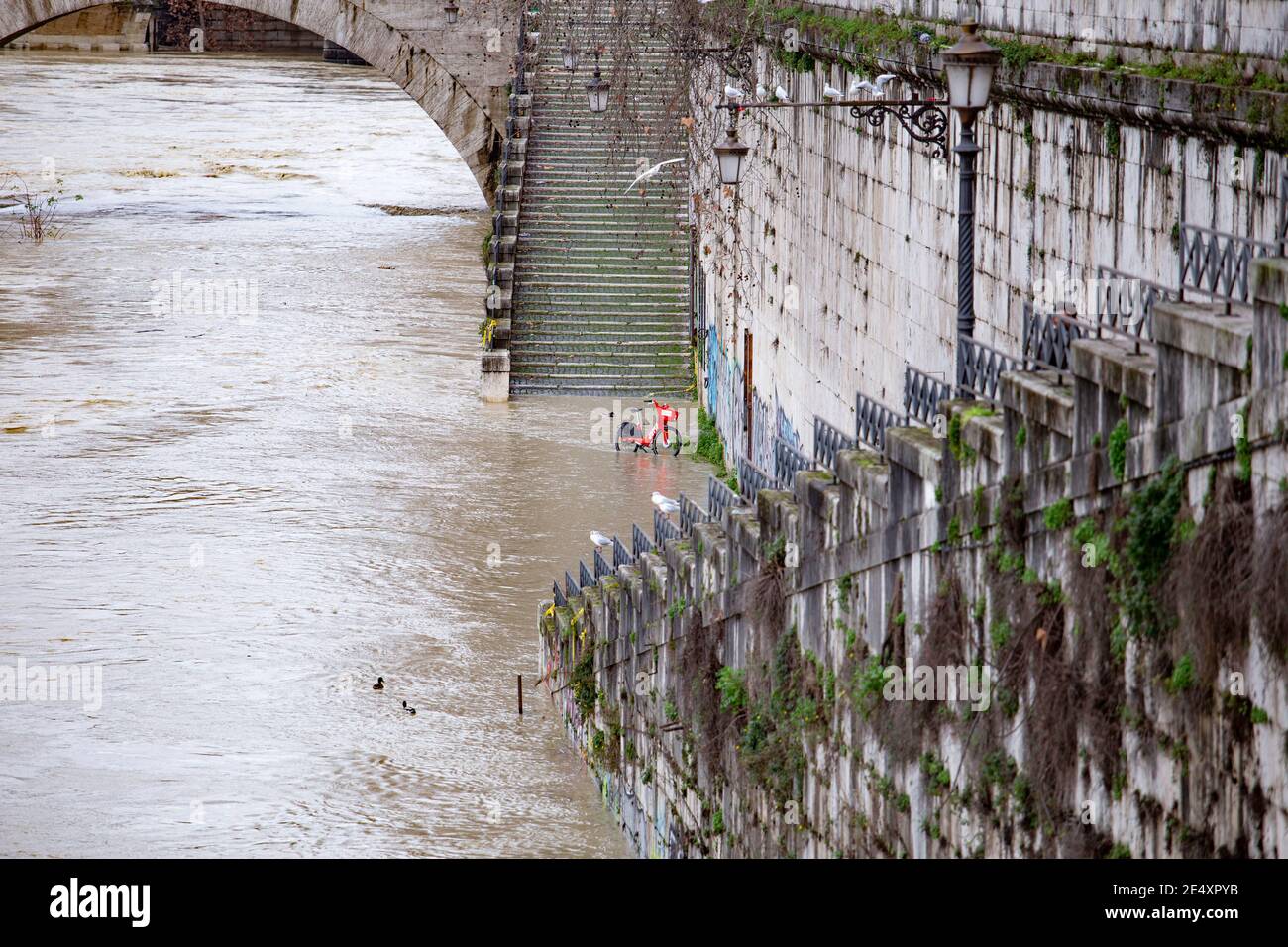 Tevere in piena 25/01/2021 Stockfoto