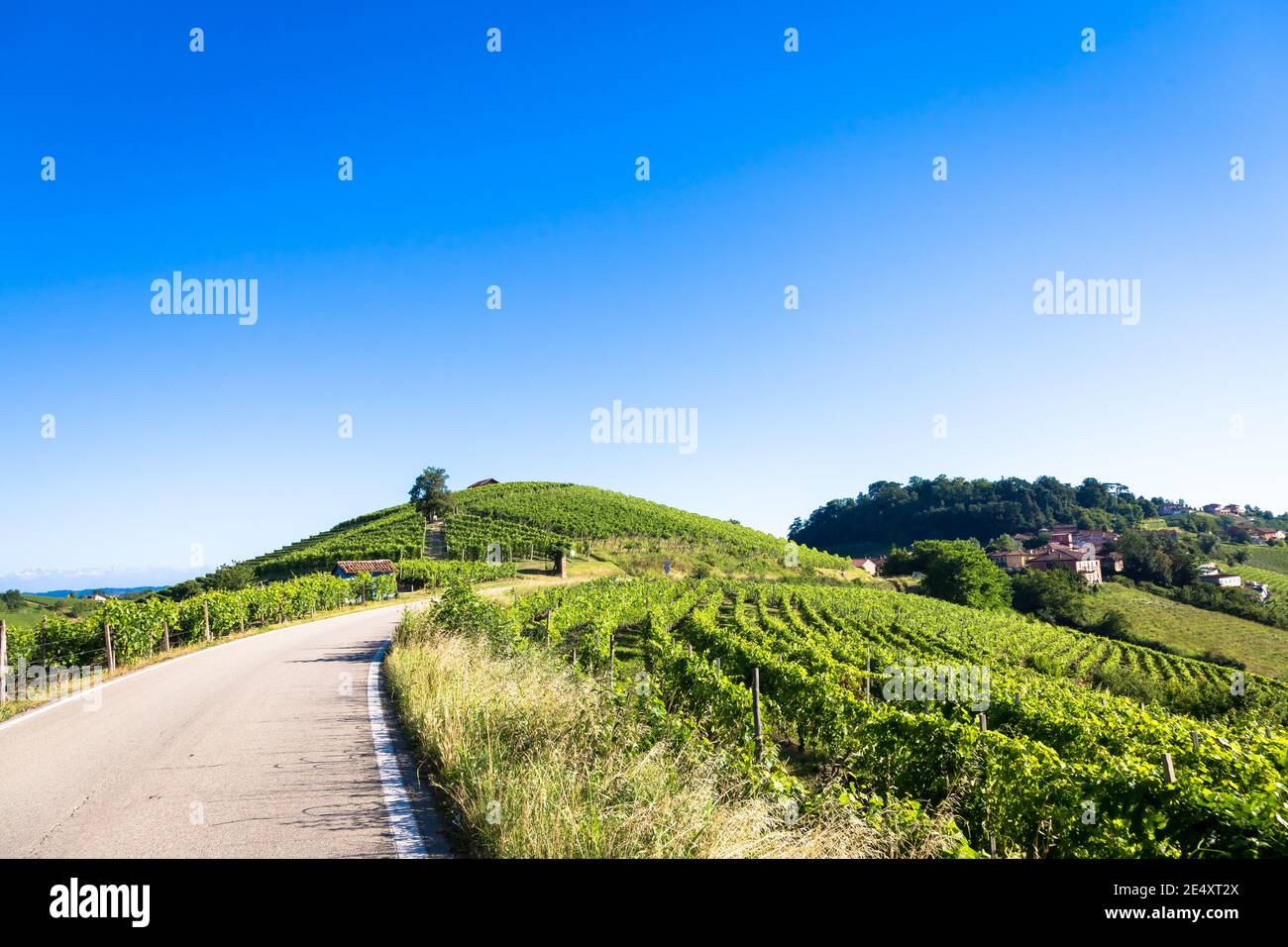 Piemont Hügel in Italien, Monferrato Bereich. Malerische Landschaft während der Sommersaison mit Weinberg Feld. Wunderbarer blauer Himmel im Hintergrund. Stockfoto