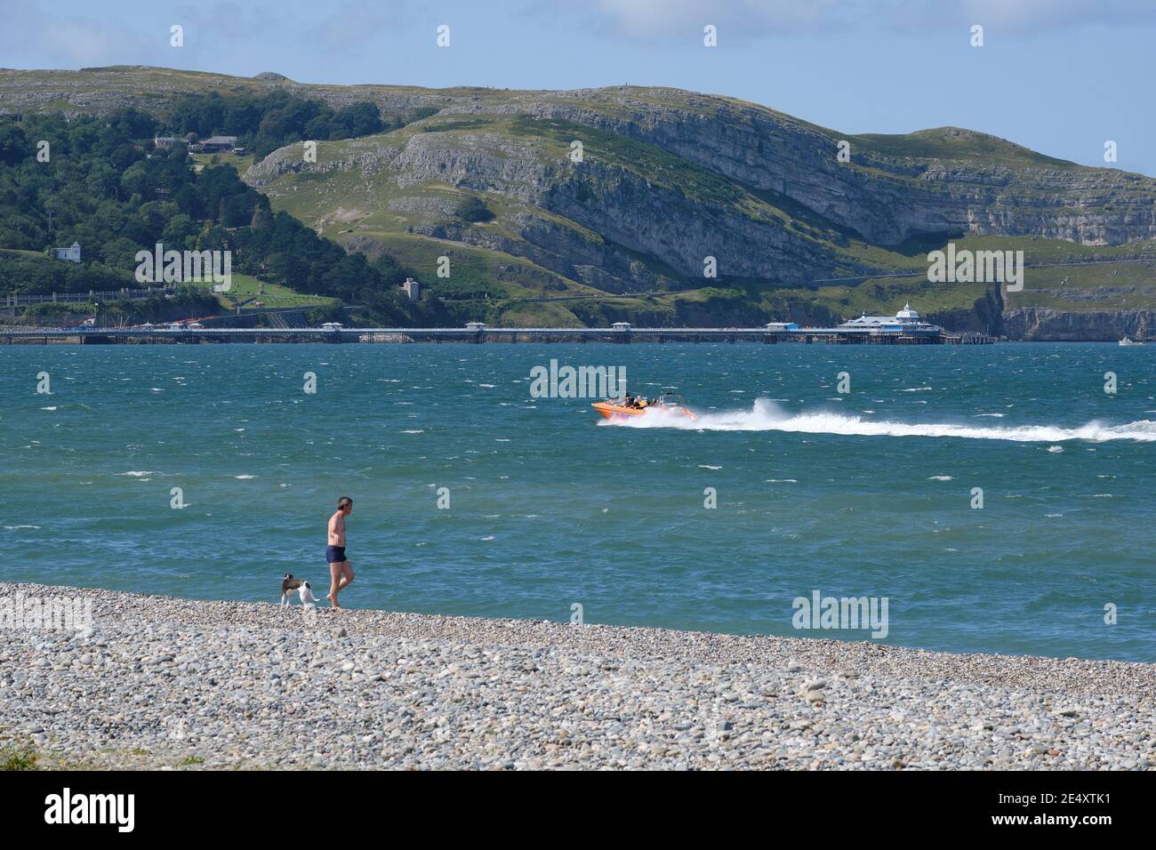 Ein einesiger Mann in einem Schwimmkostüm mit einem Hund an Llandudno's Nordküste mit dem Pier und Great Orme Beyond. Stockfoto