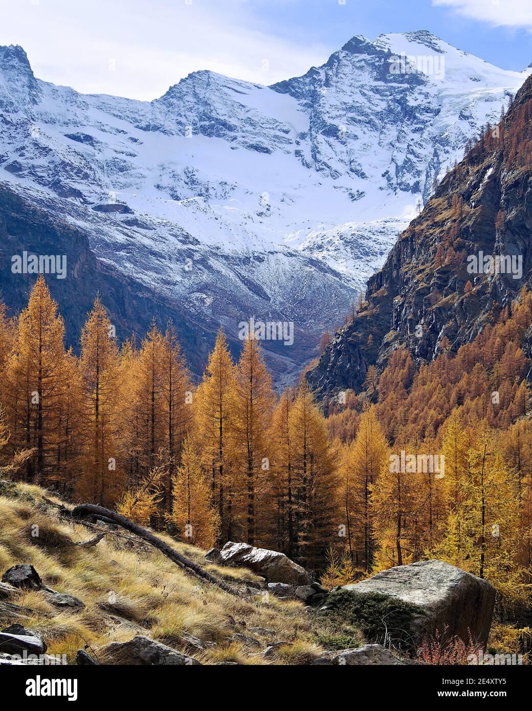 Cogne, Aostatal (Italien) - Herbstzeit im Valnontey. Im Hintergrund die Testa di Valnontey und der Grand Croux. Stockfoto