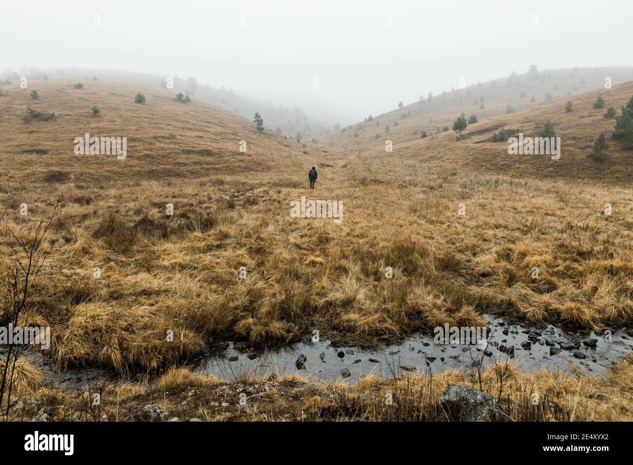 Junger Mann, der an einem nassen Wintermorgen die Natur erkundet Die Berge Stockfoto