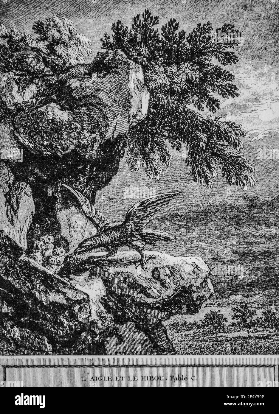 l'aigle et le Hibou,Fables de la fontaine,editeur talan,dier 1904,dessin de j.b.oudry Stockfoto