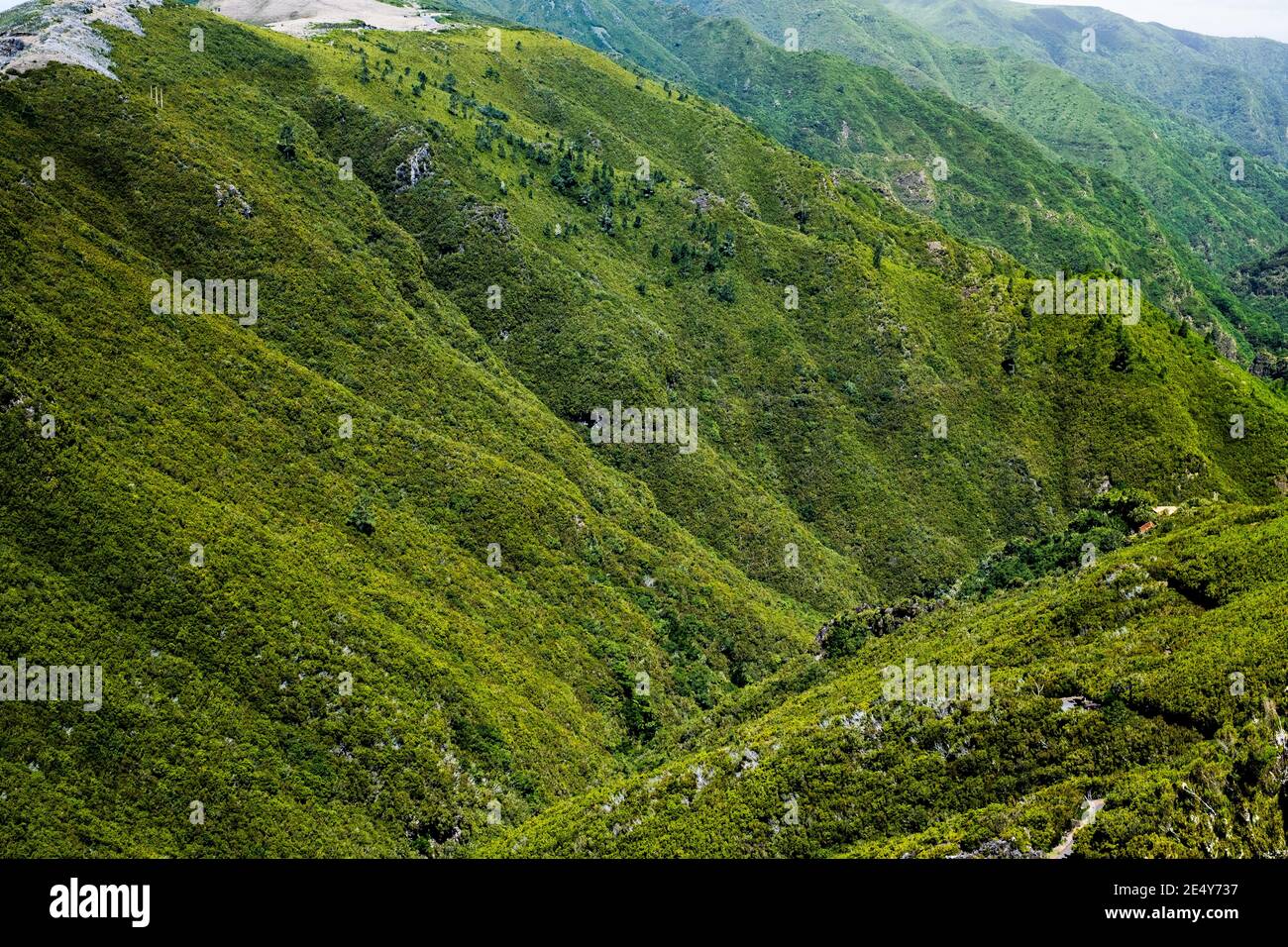 Luftaufnahme eines Tales zwischen zwei Bergen bedeckt mit Grüne Bäume auf einer tropischen Insel Stockfoto