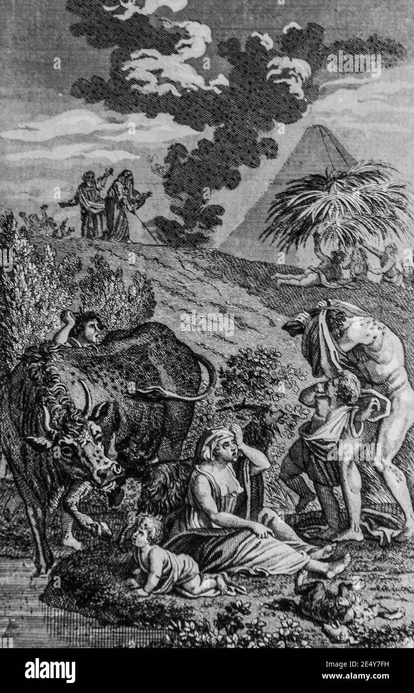 Moucherons, altes Testament, la bible par le maistre de sacy, editeur guiraudet Et jouaust 1836 Stockfoto