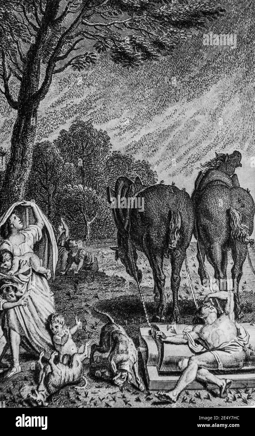 sauterelles, altes Testament, la bible par le maistre de sacy, editeur guiraudet Et jouaust 1836 Stockfoto