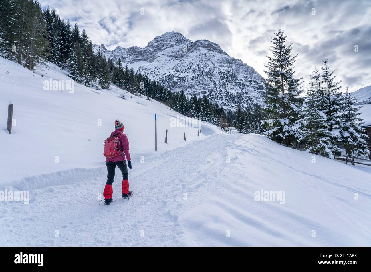 Aktive Seniorinnen wandern in den verschneiten Bergen des Kleinwalsertals, Vorarlberg, Österreich, in der Nähe von Dorf Baad, unterhalb des Gipfels von Widderstein Stockfoto