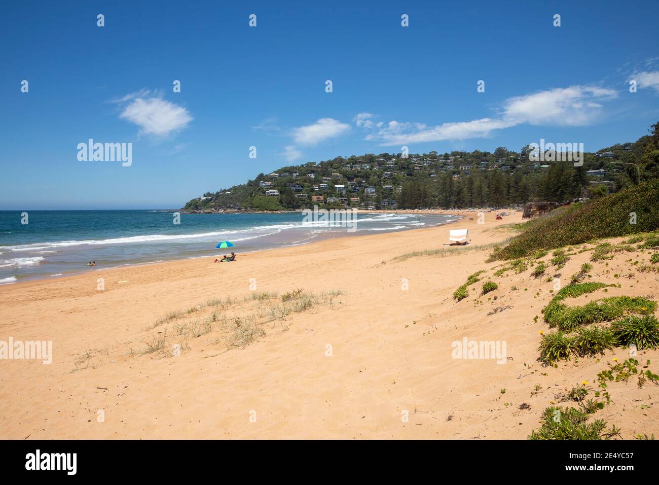 Palm Beach ein wohlhabender Vorort von Sydney an der Spitze der nördlichen Strände Halbinsel, Strand an einem sonnigen Sommertag, Sydney, NSW, Australien Stockfoto