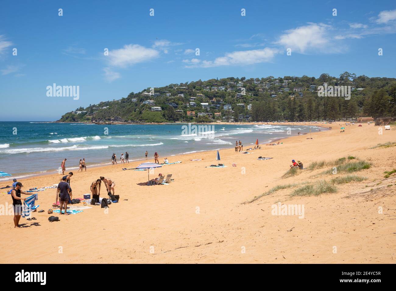 Sonnenbaden am Palm Beach in Sydney Australien, Palm Beach liegt an der Spitze der nördlichen Strände Halbinsel Stockfoto