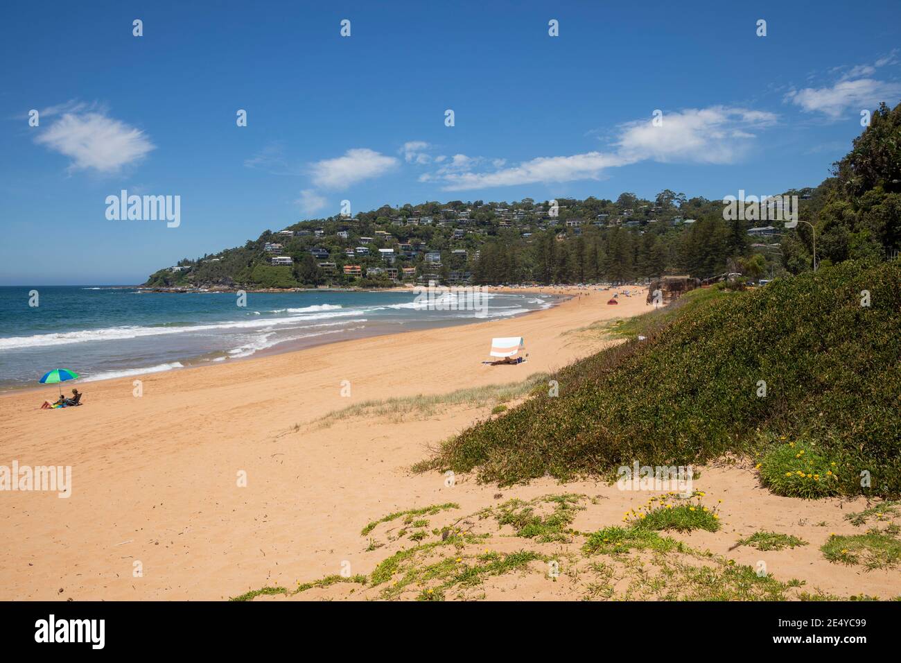Palm Beach ein wohlhabender Vorort von Sydney an der Spitze der nördlichen Strände Halbinsel, Strand an einem sonnigen Sommertag, Sydney, NSW, Australien Stockfoto