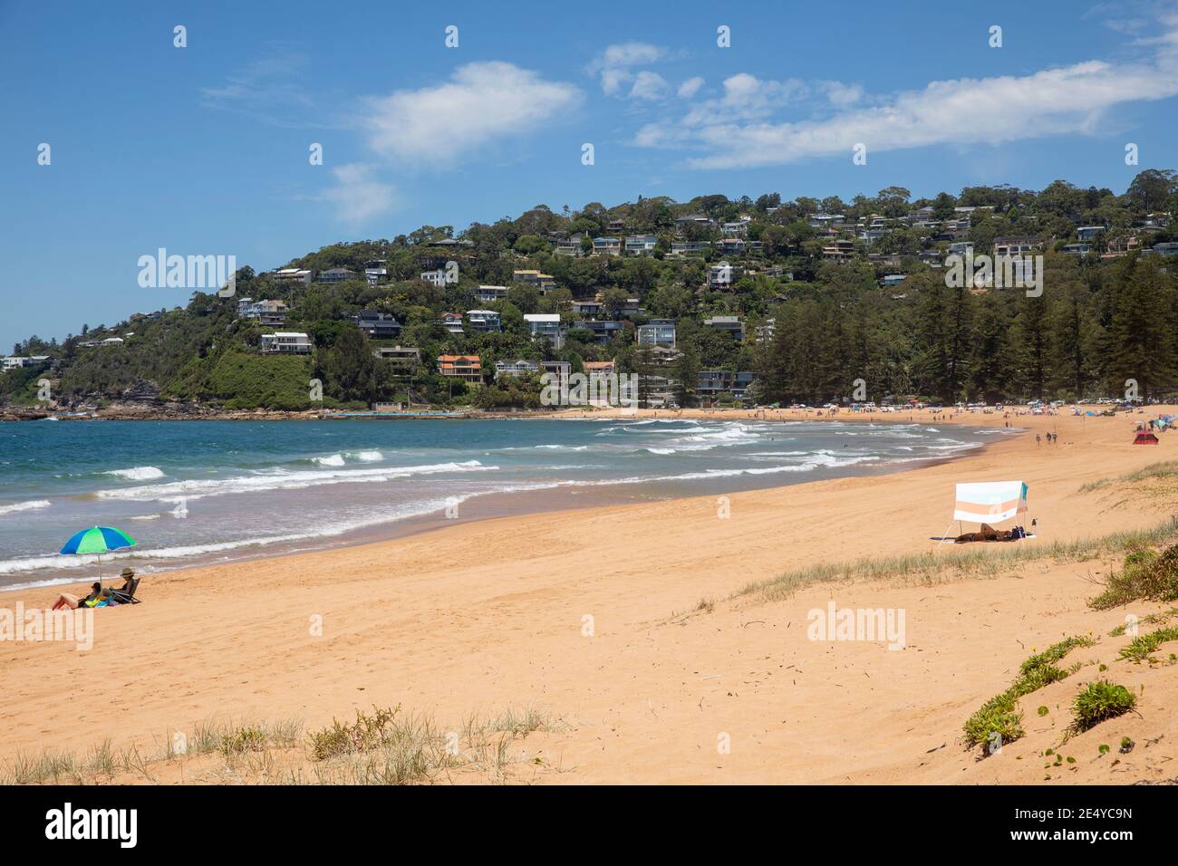 Palm Beach ein wohlhabender Vorort von Sydney an der Spitze der nördlichen Strände Halbinsel, Strand an einem sonnigen Sommertag, Sydney, NSW, Australien Stockfoto