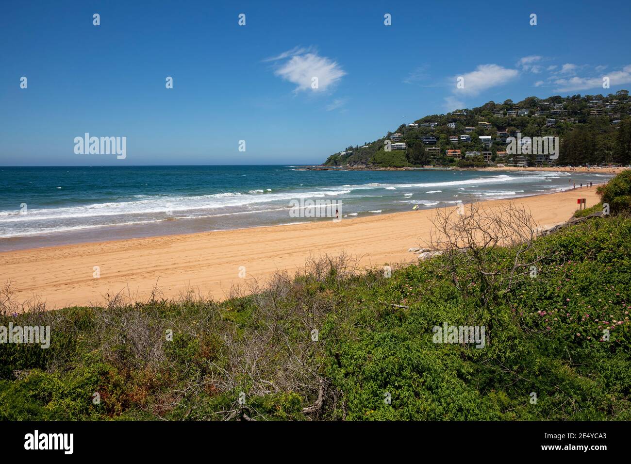 Blick auf den Sand am Palm Beach und Ozean, Sydney Northern Beaches, NSW, Australien an einem Sommertag Stockfoto
