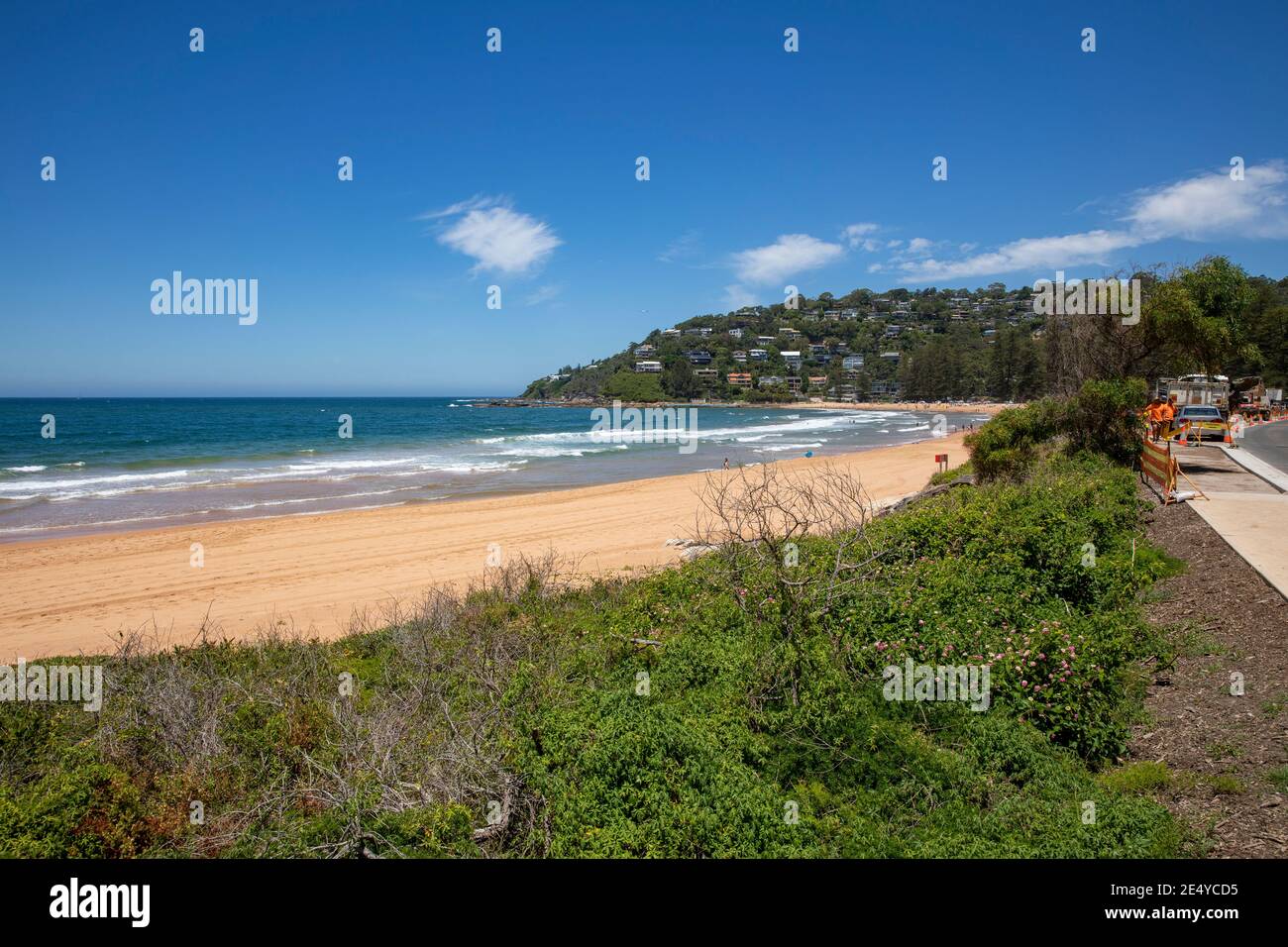 Palm Beach ein wohlhabender Vorort von Sydney an der Spitze der nördlichen Strände Halbinsel, Strand an einem sonnigen Sommertag, Sydney, NSW, Australien Stockfoto