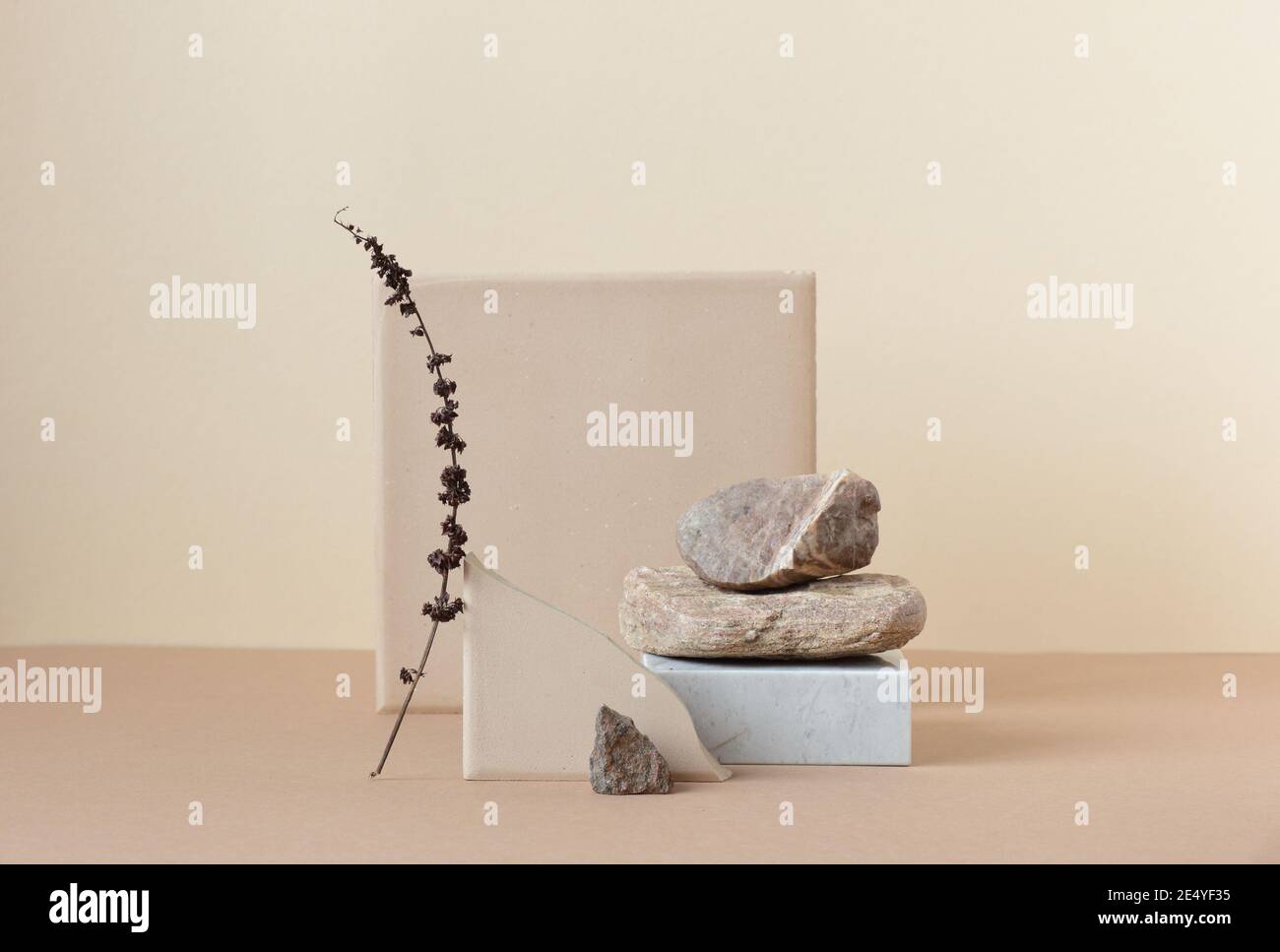 Minimalistische monochrome Stillleben Komposition mit natürlichen Naturmaterialien: Stein, Marmor, erdiger Ton und Pflanzen Trockenzweig in beige Farbe, Kopierraum Stockfoto