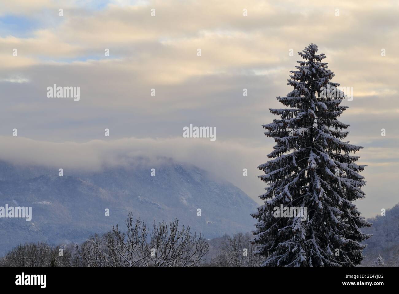 Blick auf die lombardischen Voralpen nach einem kürzlichen Schneefall Stockfoto