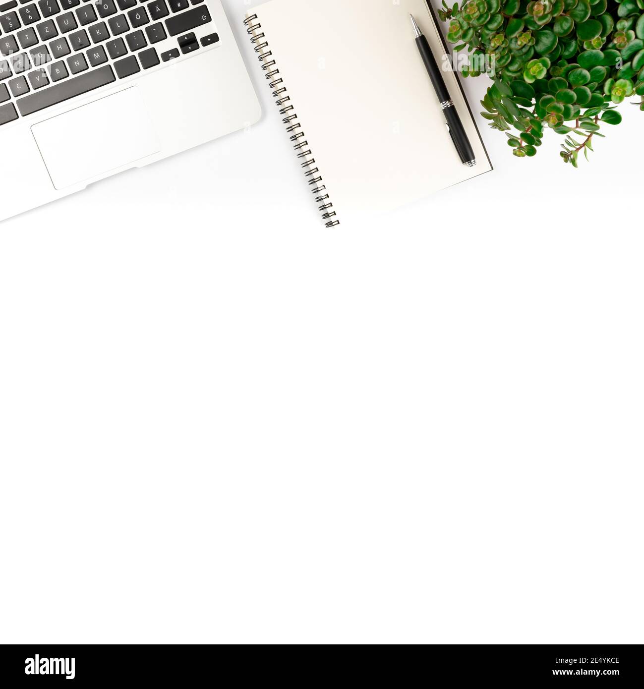 Draufsicht auf Laptop-Computer, Spiralnotepad mit Stift und Topfpflanze auf weißem Hintergrund, sauberes Büro und Geschäftskonzept Stockfoto