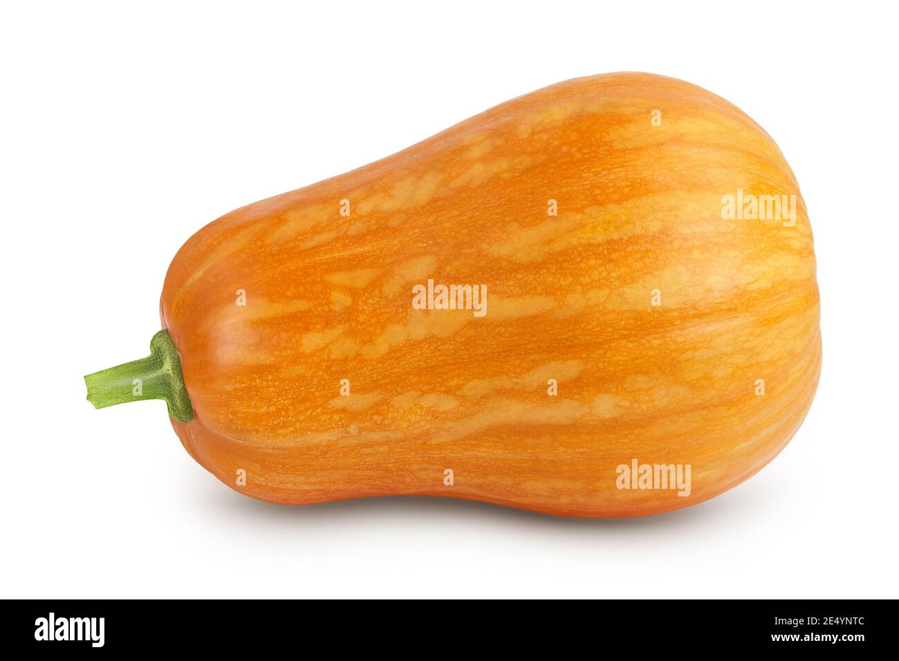 butternut Squash isoliert auf weißem Hintergrund mit Beschneidungspfad und Volle Schärfentiefe Stockfoto