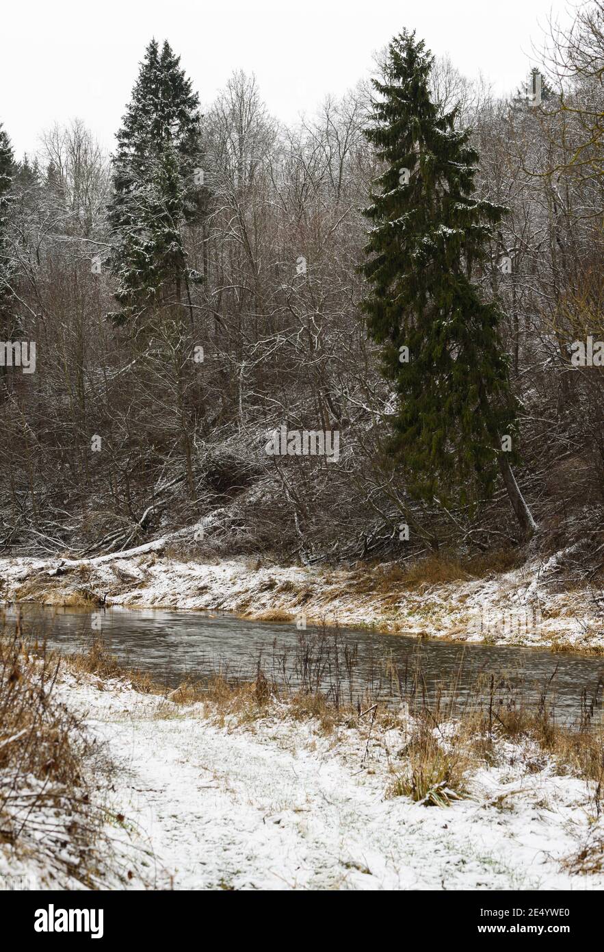 Wunderbarer Morgen schöne Winterlandschaft am Fluss Dubysa. Stockfoto