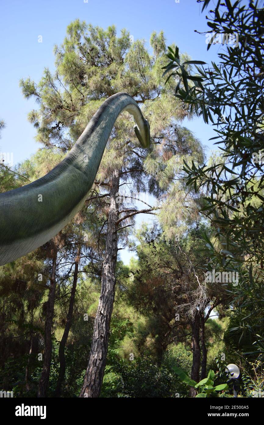 Dinosaurier-Statue im Waldpark in der Natur für Hintergrund. Realistisches Modell der Dinosaurier steht im Dschungel, mit seinem langen Hals zu leicht essen Blatt Stockfoto
