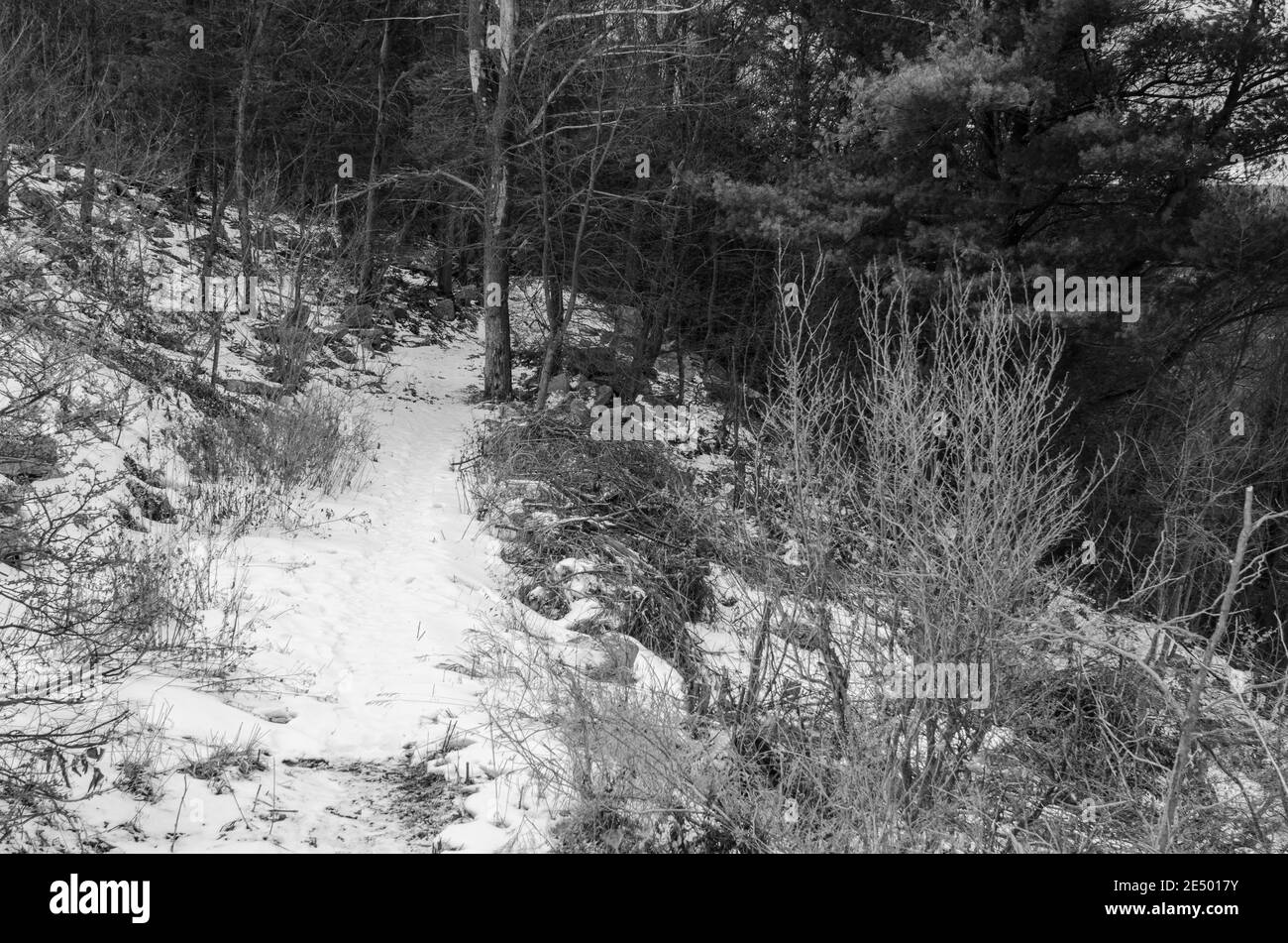 Schwarz-Weiß-Foto eines schneebedeckten Weges entlang Ein Bergrücken Stockfoto