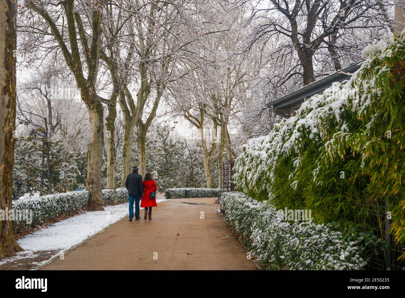 Schneebedeckte Retiro-Park. Madrid, Spanien. Stockfoto