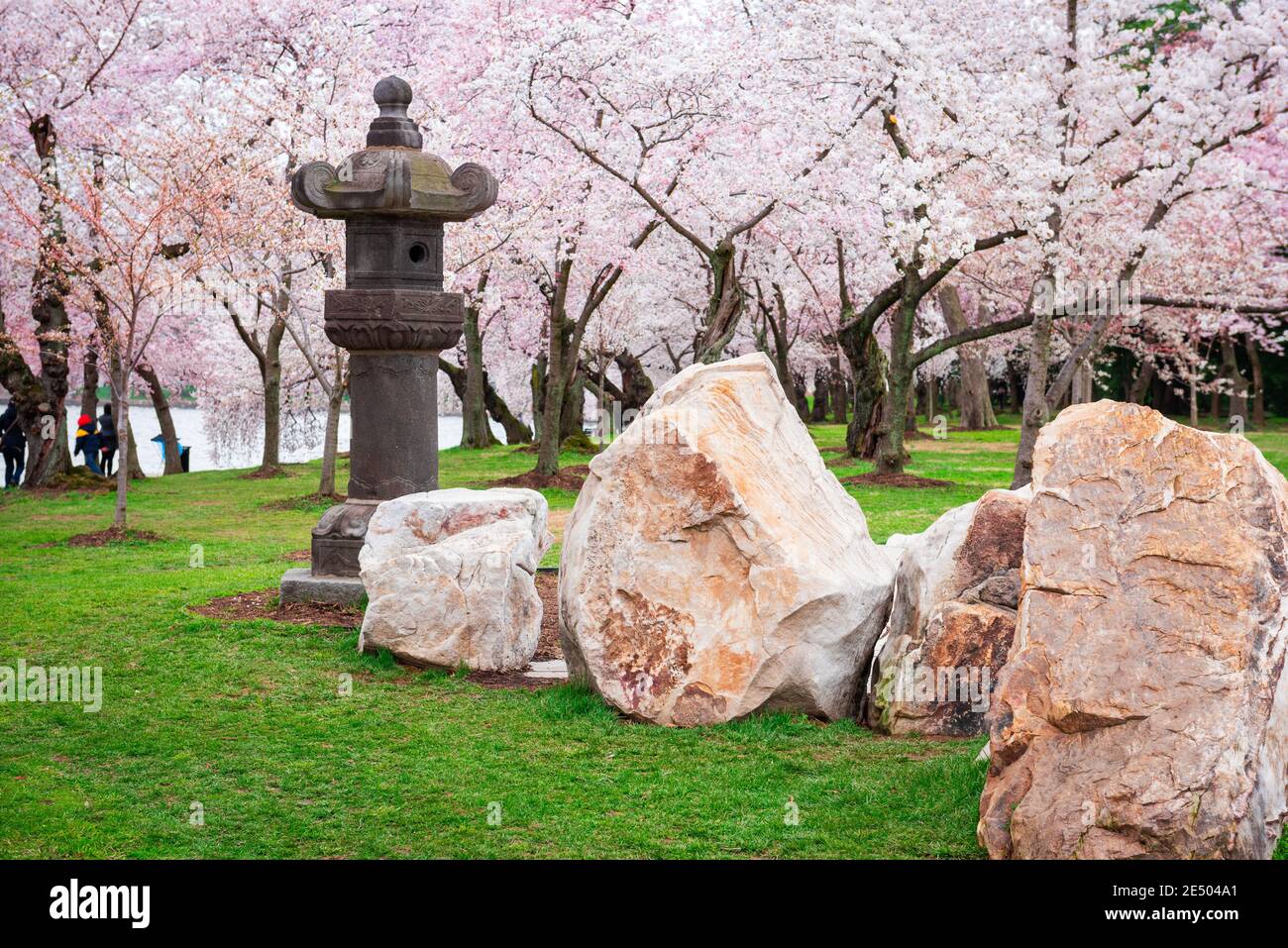 Die japanische Laterne im West Potomac Park rund um das Tidal Basin in Washington DC. Stockfoto