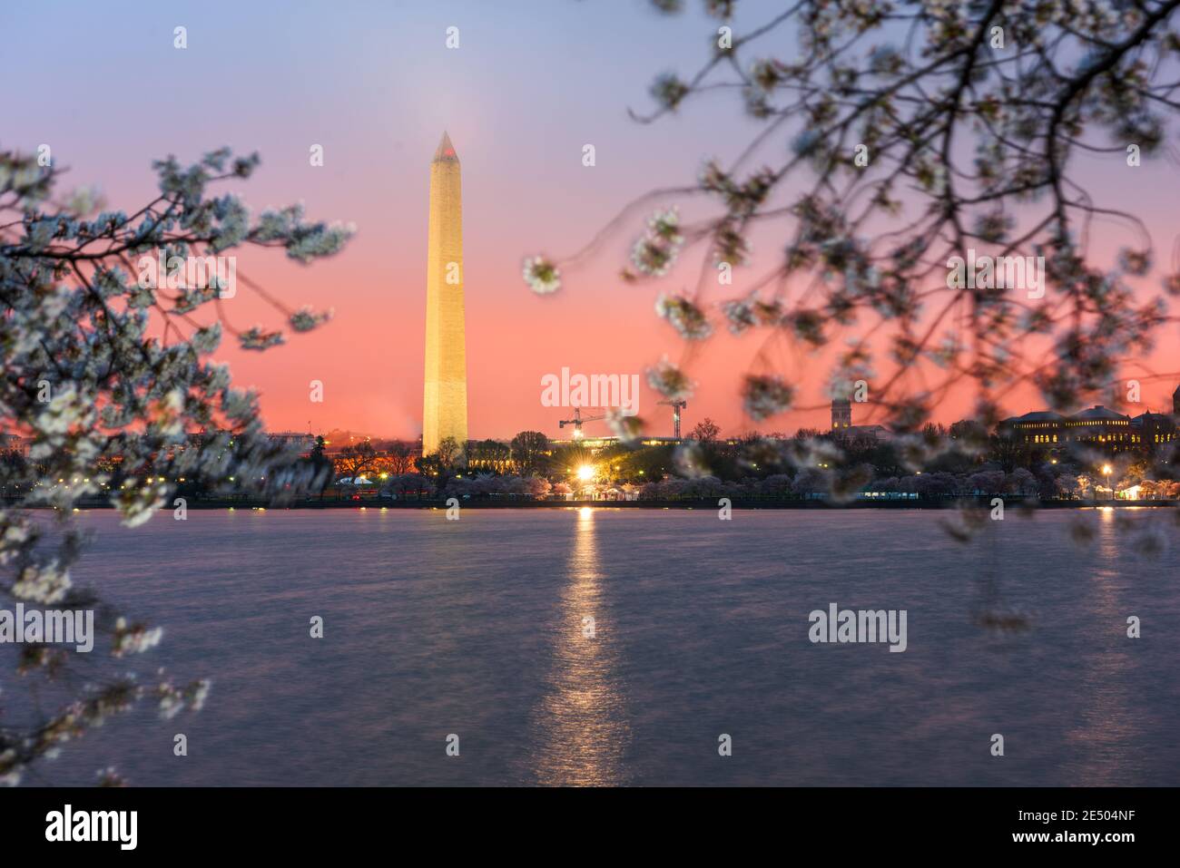 Washington DC; USA am Gezeitenbecken mit dem Washington Monument in der Frühjahrssaison. Stockfoto