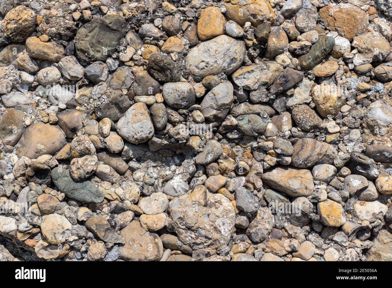 Konglomerat Nahaufnahme eines Konglomeratsteins in der Nähe des Genfer Sees St Saphorin. Stockfoto