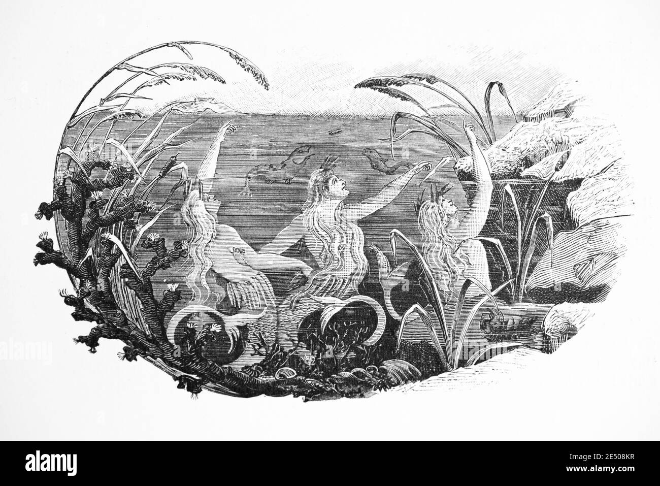 Illustration´s Heine Gedicht 'Bimini' über eine fabelhafte Insel im Karibischen Meer, deutscher Dichter Heinrich Heine, Gedichtsammlung Romancero, 1880 Stockfoto