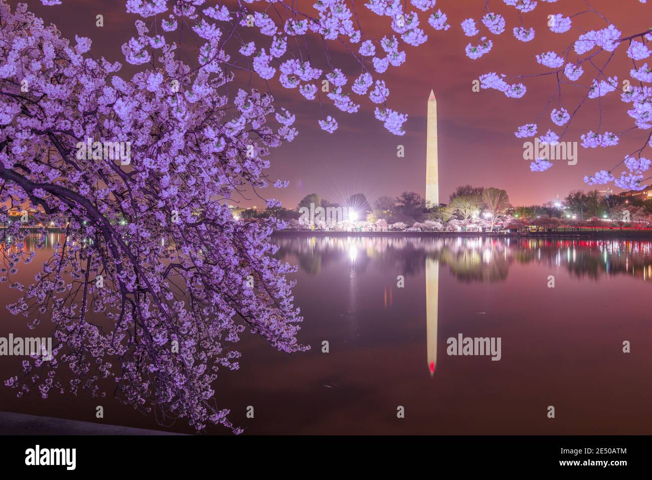 Washington DC; USA am Gezeitenbecken mit dem Washington Monument in der Frühjahrssaison. Stockfoto