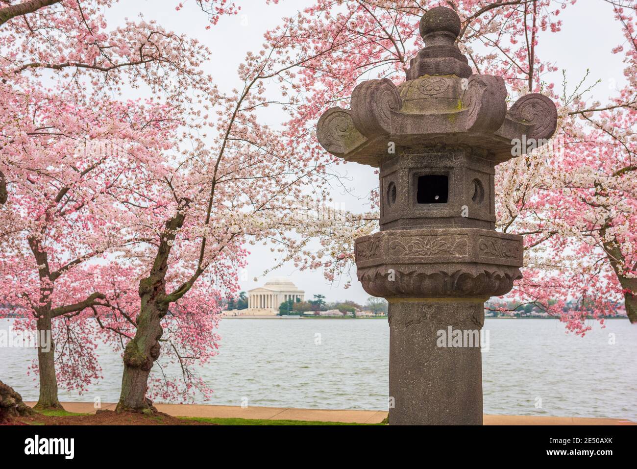 Die japanische Laterne im West Potomac Park rund um das Tidal Basin in Washington DC. Stockfoto