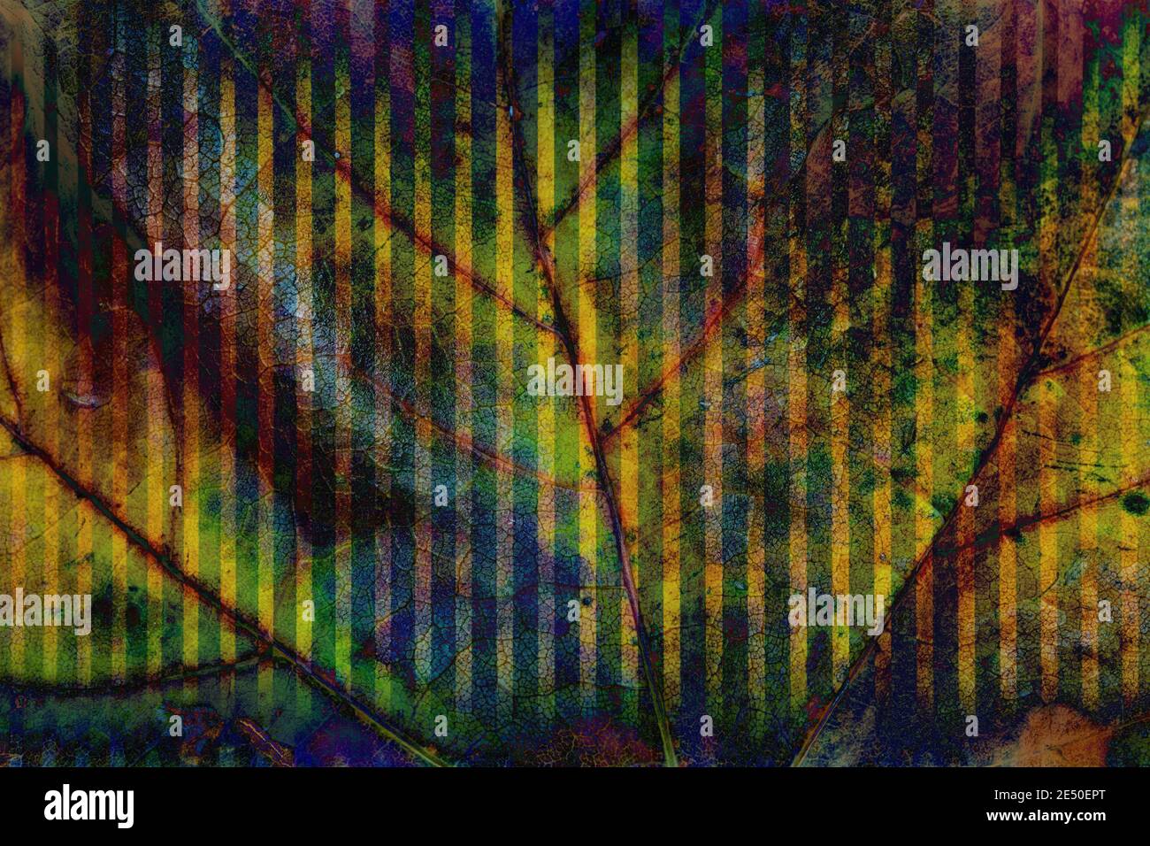 Bunte Blatt Texturen und Hintergrund Stockfoto