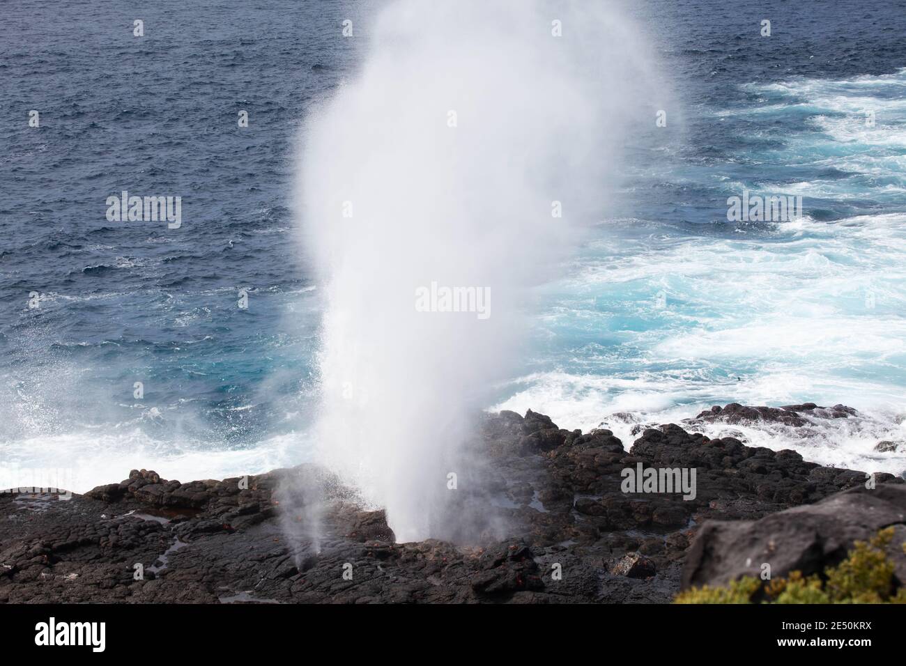 Ein Blick auf ein Blowhole von den Galapagos Inseln Stockfoto