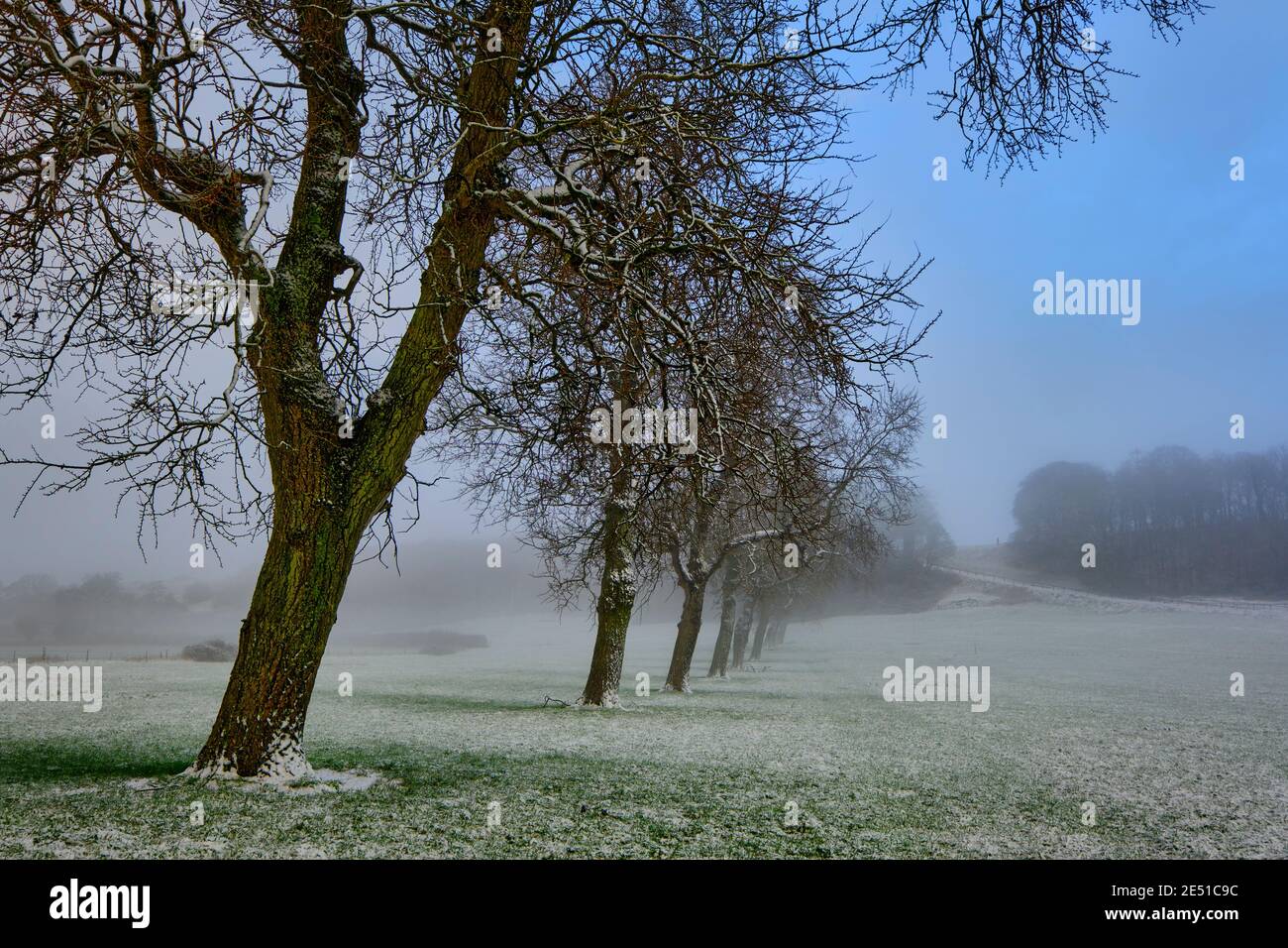 Ein Wintermorgen in Somerset Stockfoto