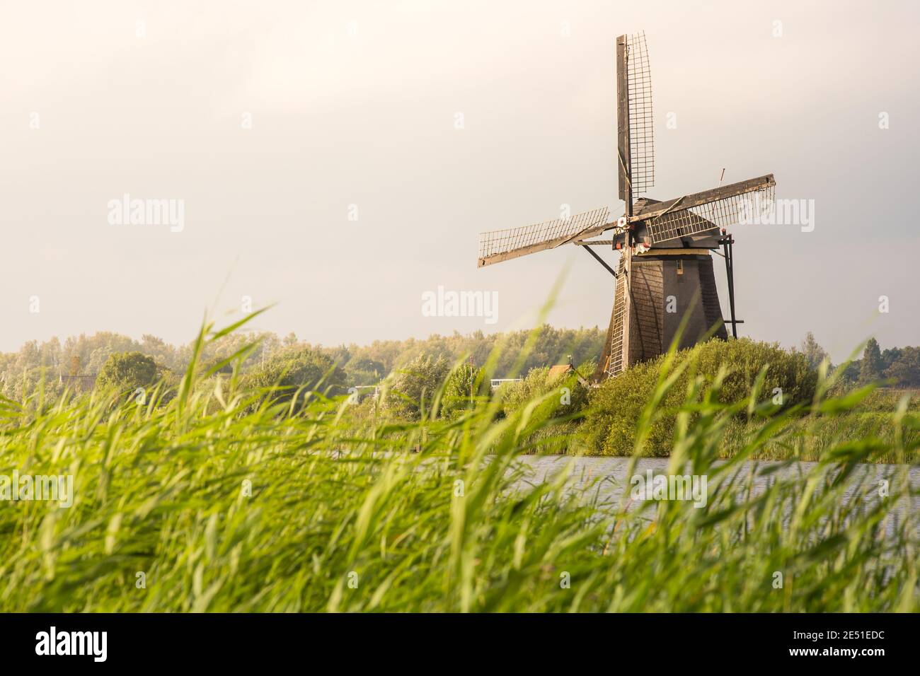 Weitwinkelansicht einer holländischen Landschaft, mit einem Rohrdickicht im Vordergrund, einem Kanal und einer alten Windmühle im Hintergrund, am späten Nachmittag Stockfoto