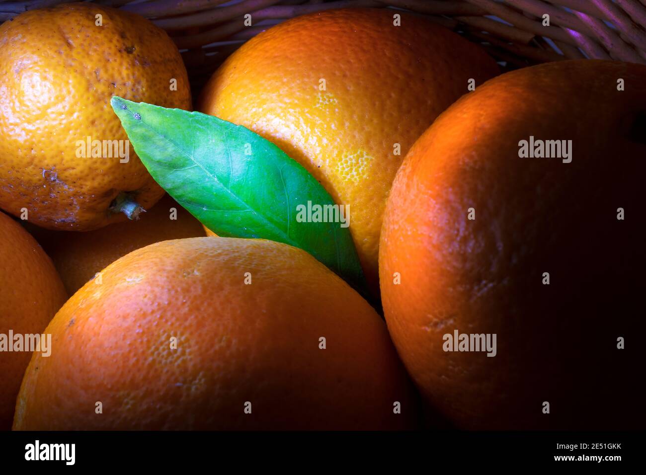 Makro Foto von frisch gepflückten Orangen.Lichtpinsel Technik Foto. Vom Baum direkt im Weidenkorb. Stockfoto