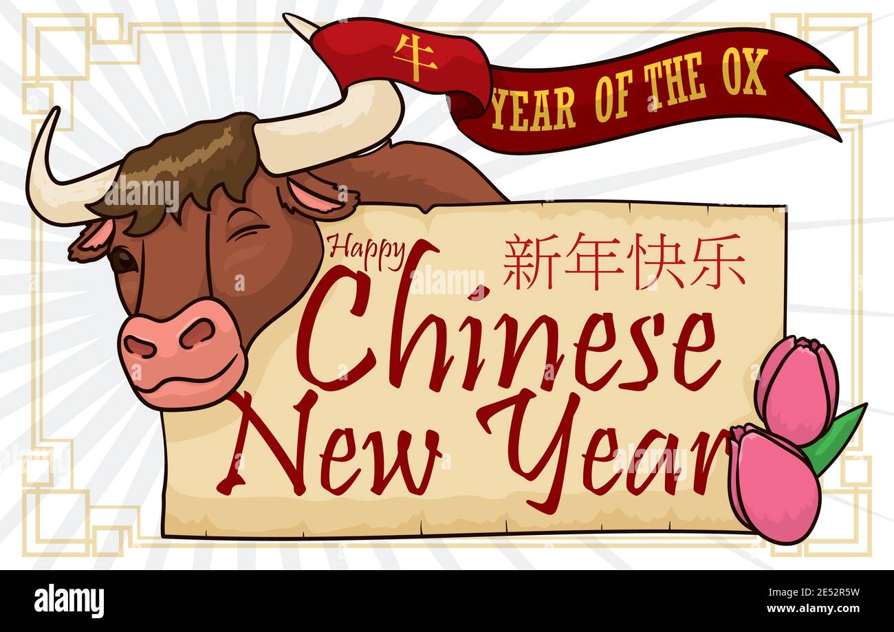 Glücklicher Ochse winkt Ihnen mit einem Band umschlungen auf seinem Horn, Gruß Schriftrolle und Tulpenblüten bereit, um sein chinesisches Neujahr (geschrieben in Chi Stock Vektor