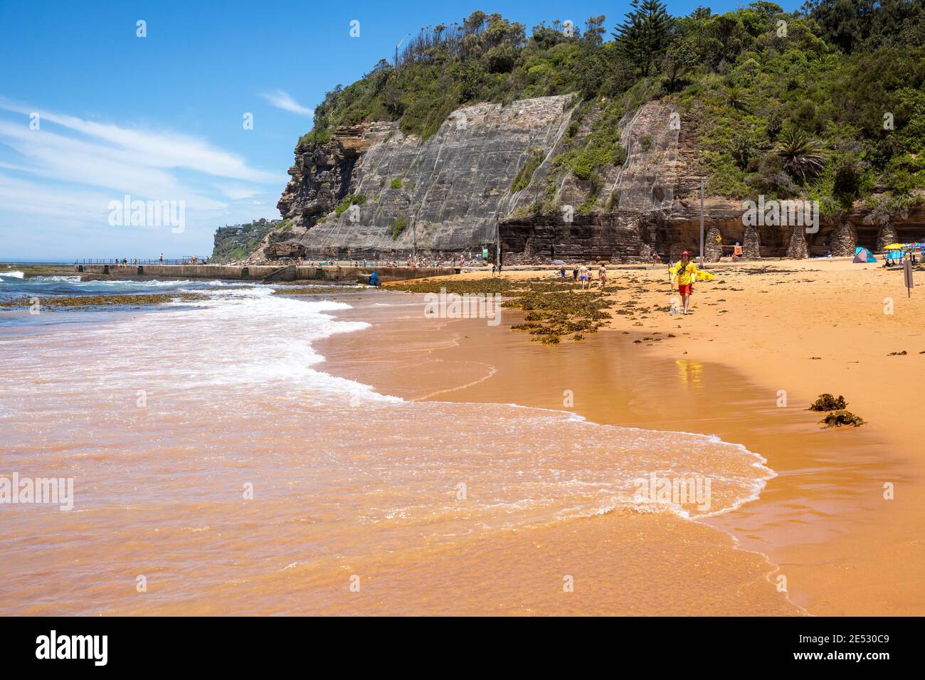 Algen am Bilgola Beach in Sydney, NSW, Australien Stockfoto