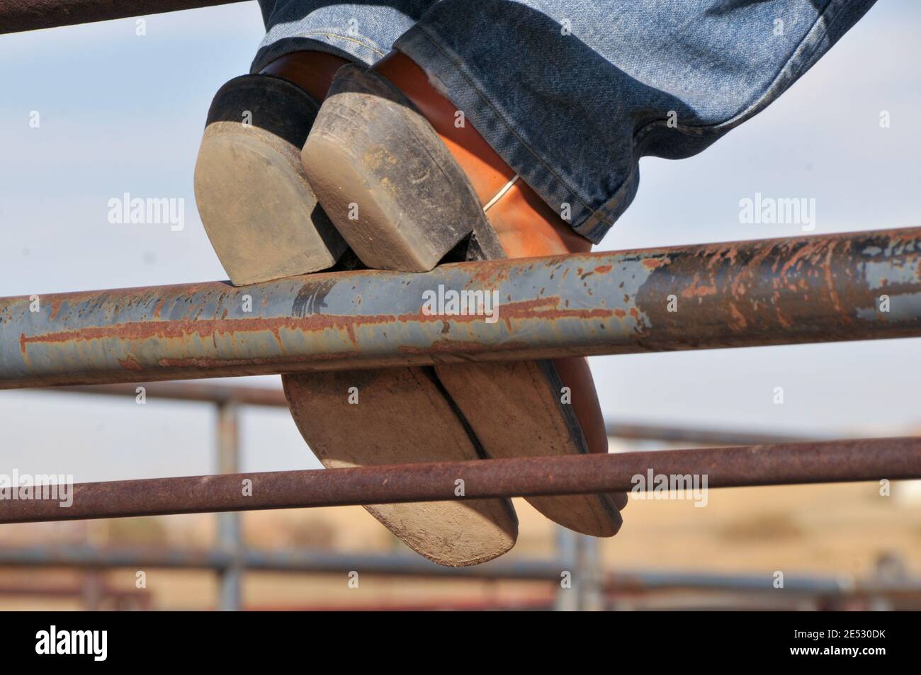 Pausenzeit während der Arbeit auf einer Ranch in Colorado - Cowboy Stiefel am Zaun Stockfoto