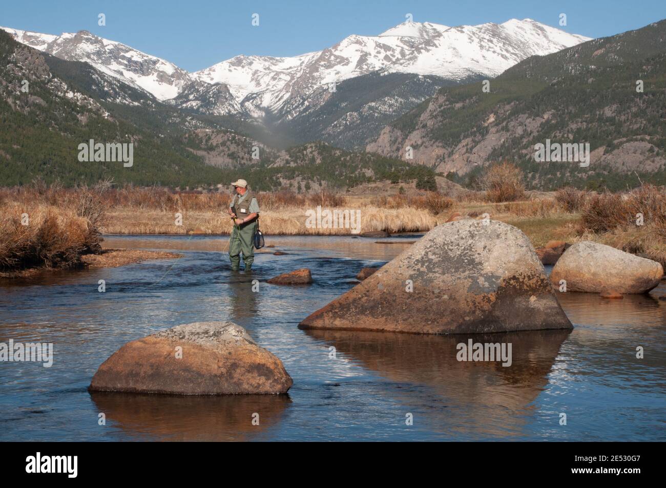 Man Forellen Angeln in Rocky Mountain National Park Colorado Stockfoto