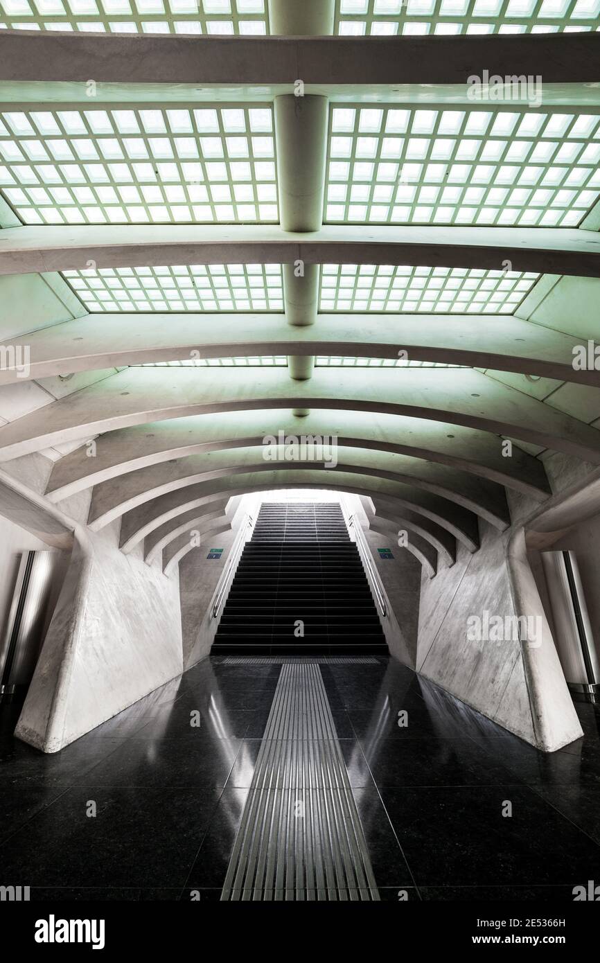 Symmetrische Ansicht einer futuristischen unterirdischen Galerie in der Eisenbahn Liège-Guillemins Station Stockfoto