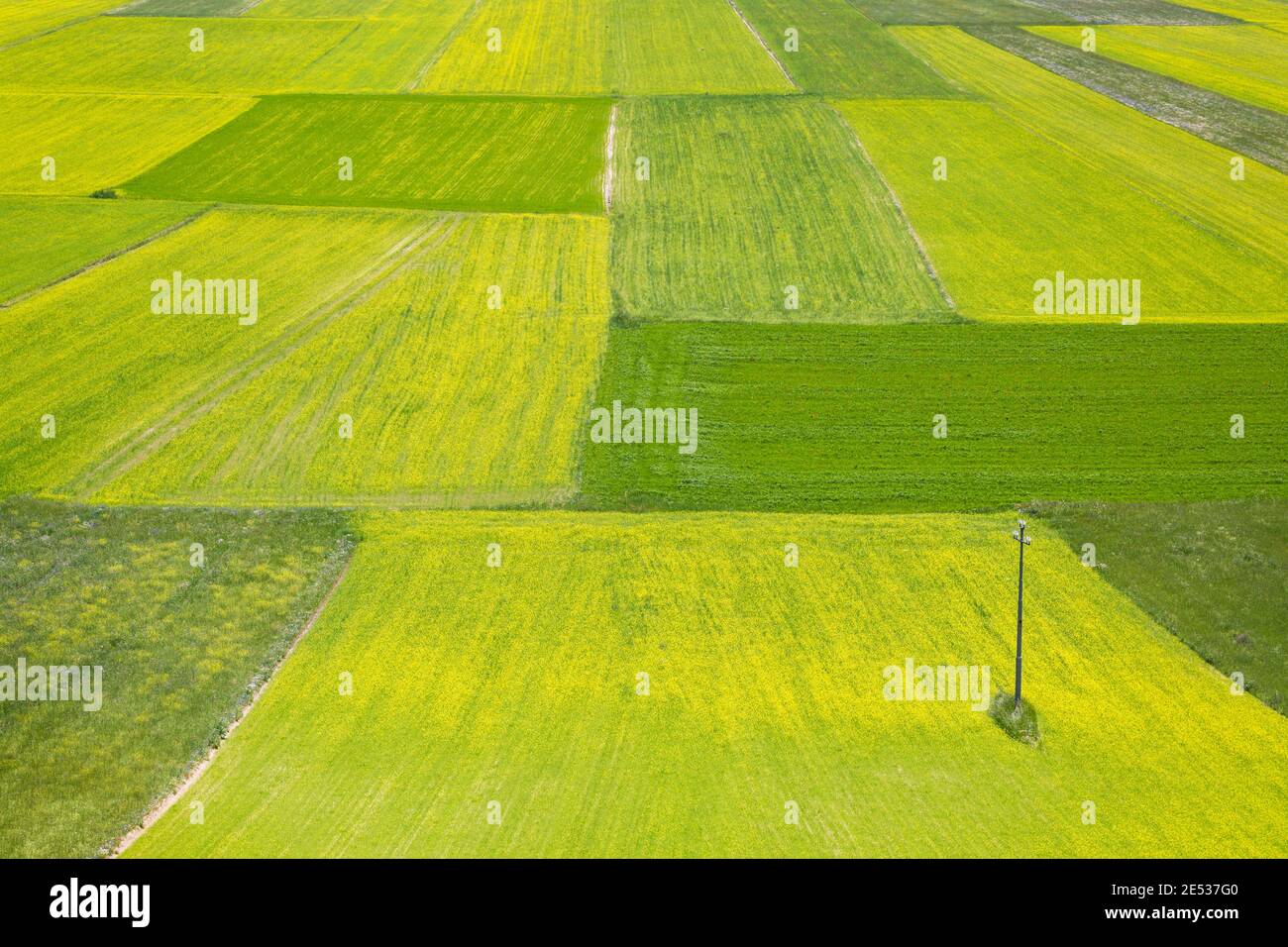 zentralitalienische ländliche Landschaft, mit bunten Flecken von Linsen Felder Stockfoto