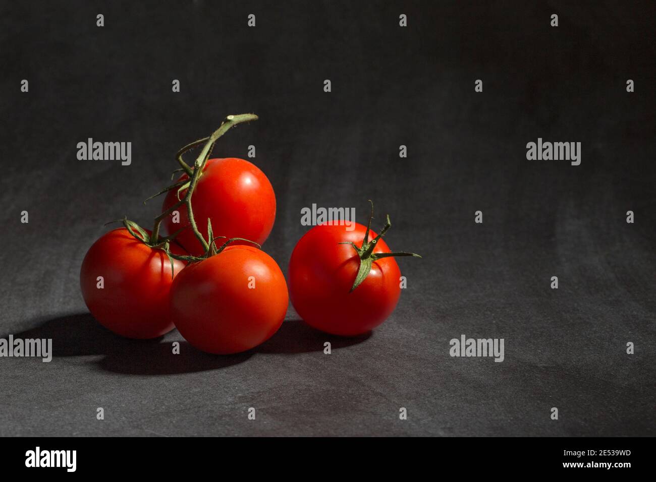 Tomaten auf Reben auf dem schwarzen Hintergrund. Stockfoto