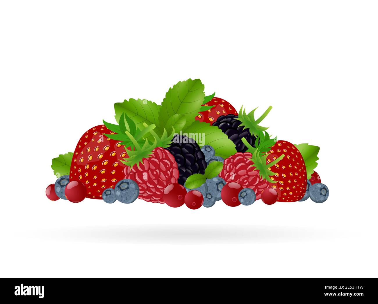 Set von bunten Cartoon Beeren: Heidelbeere, Brombeere, Himbeere, Erdbeere, Preiselbeere, Minzblätter. Vektorgrafik, isoliert auf Weiß Stock Vektor