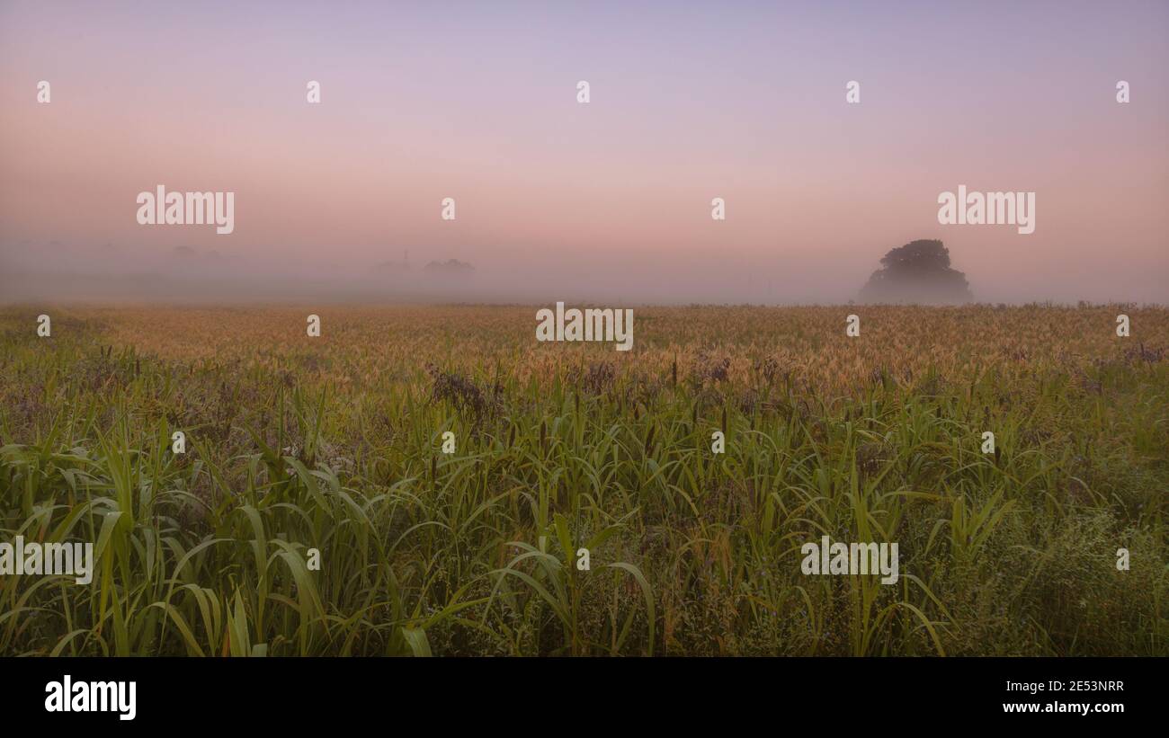 Spätsommernebel bei Sonnenaufgang über dem Warwickshire Farmland Stockfoto